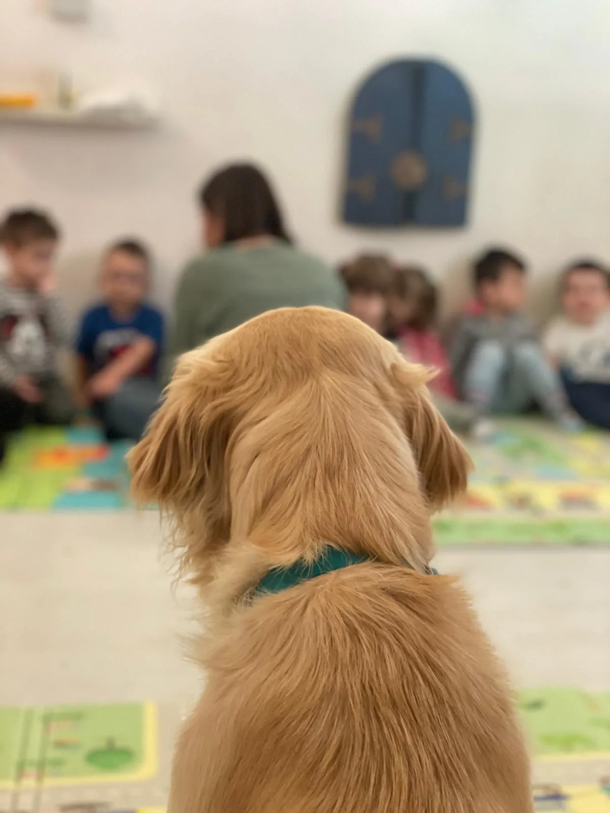 Cane durante un’attività assistita con un gruppo di bambini