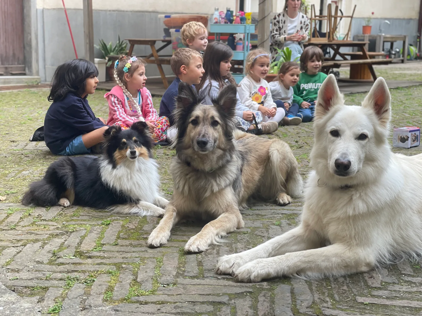 Bambini e cani durante un’attività JIMPet all’aperto