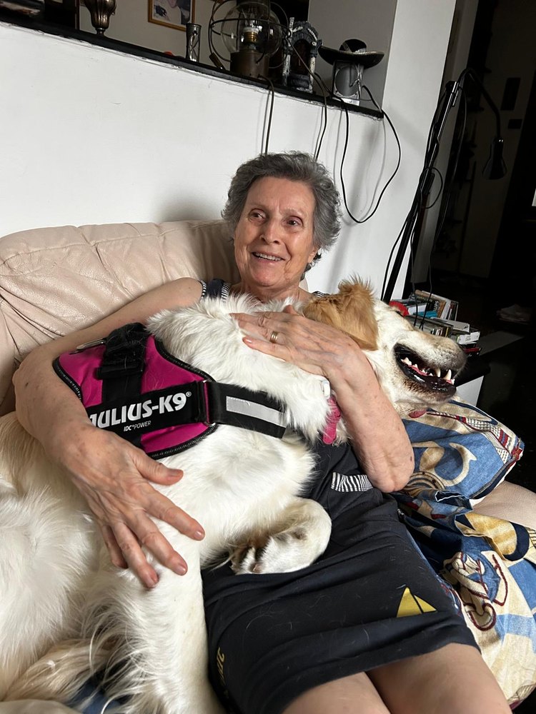 Attività JIMpet con animali in un contesto accogliente