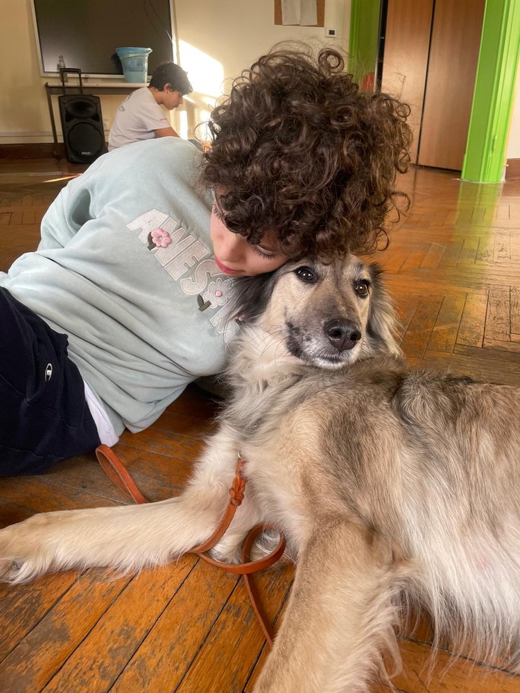 Dettaglio di un momento JIMpet con animali