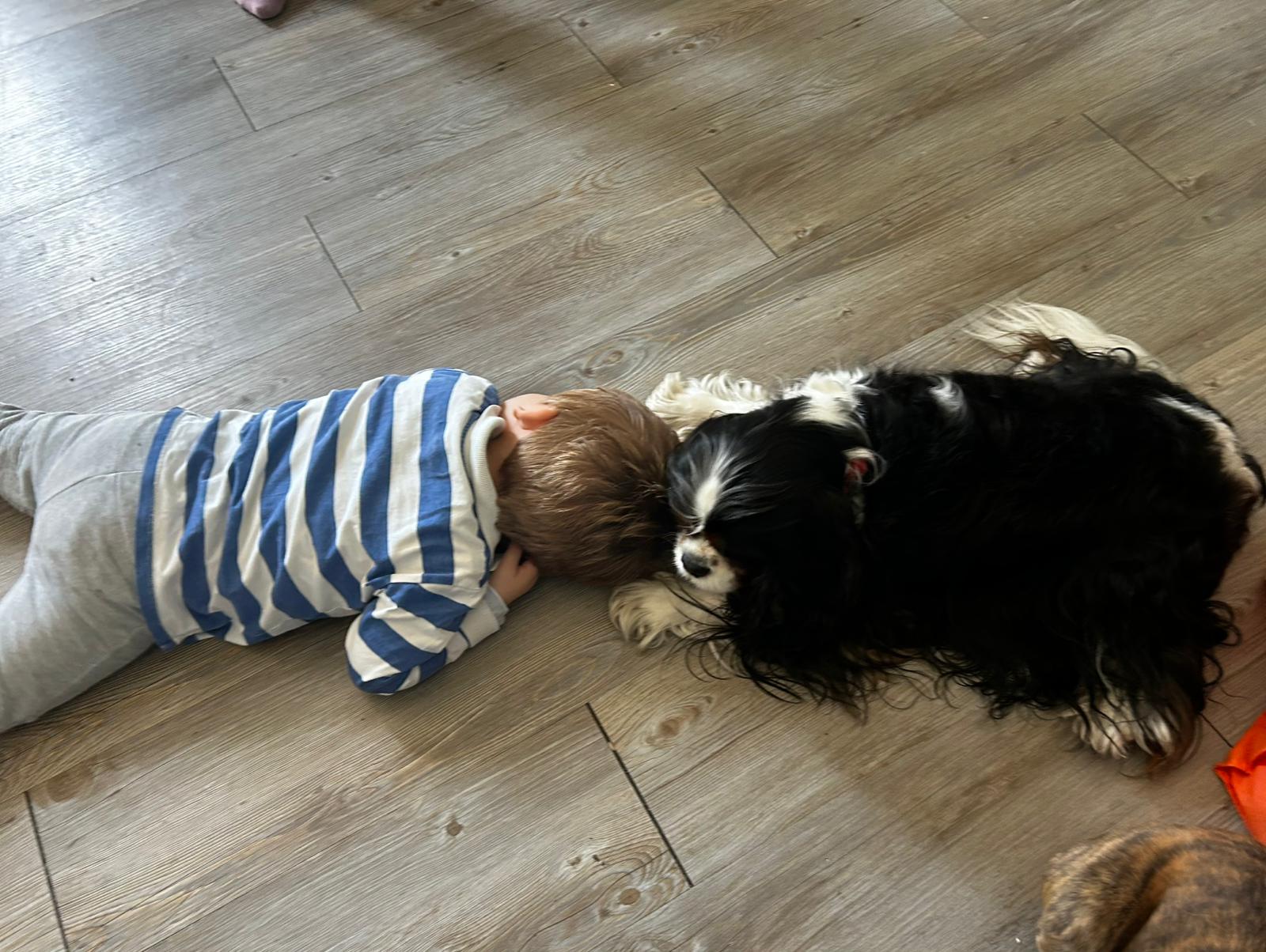 Bambino e cane durante un momento tranquillo di attività JIMpet