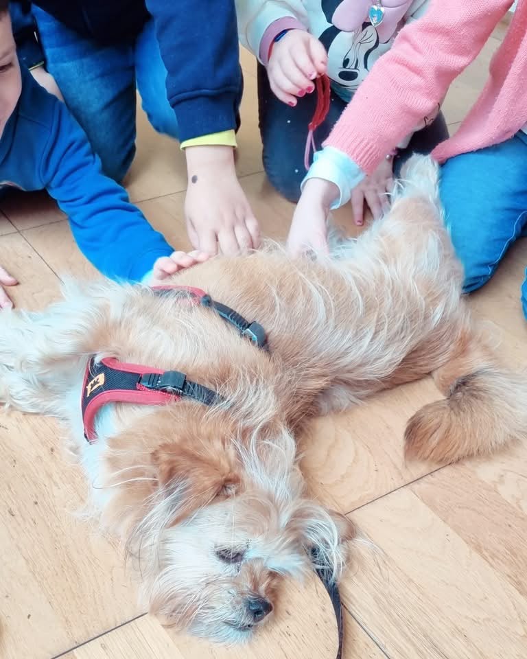 Bambini accarezzano un cane durante un laboratorio educativo